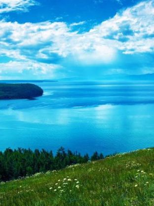 Wild Adventure 🐾7D-K